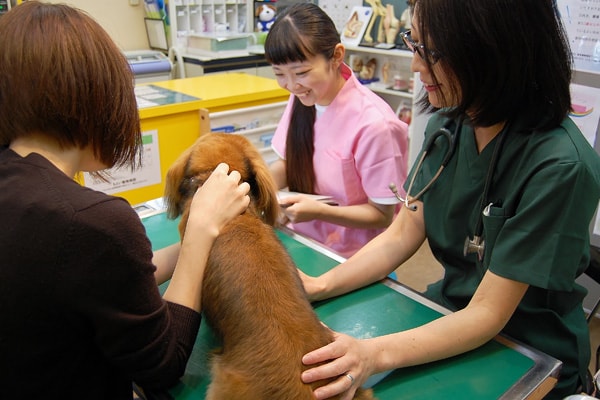 病気だけじゃない、動物たちの日常の衣食住も１