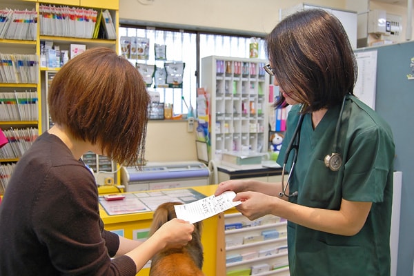 診療にかかる費用のご心配について２